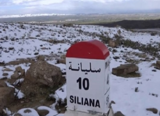 سليانة: تساقط الثلوج بمرتفعات مكثر وكسرى