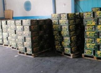 بن عروس: حجز حوالي 56 طنا من الموز في مخزنين عشوائيين