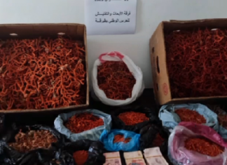 طبرقة: حجز كمية من المرجان قيمتها الجملية 153 ألف دينار