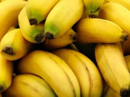 سوسة: حجز موز مهرّب يُباع بأسعار مرتفعة