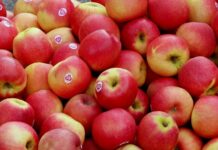 الأبحاث الاقتصادية: تسجيل “مغالطات” تتمثل في ترويج التفاح المحلي على أنه مورد من الخارج