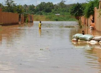 فيضانات في النيجر: مقتل 27 شخصا وتضرر عشرات الآلاف