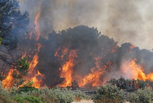 جندوبة: اندلاع حريق في ضيعة فلاحية