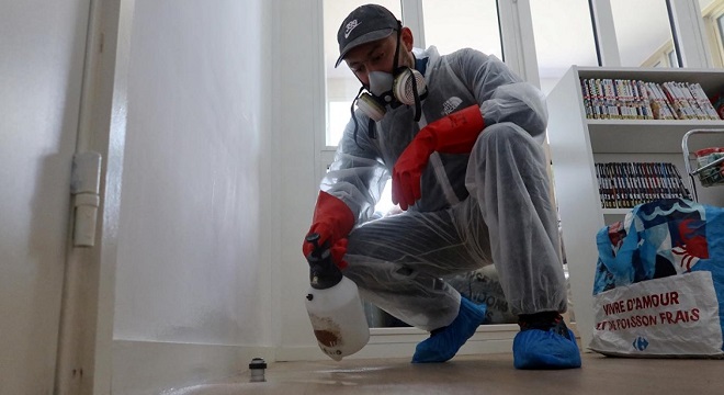 إنتشار البق