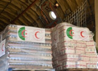 الجزائر تُرسل مساعدات عاجلة إلى غزة