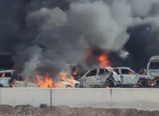 حادث مروع في مصر.. مقتل 35 شخصا على الطريق الصحراوي..
