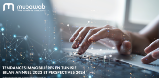 مؤشرات وأرقام سوق العقارات في تونس: تقييم مبوب لسنة 2023