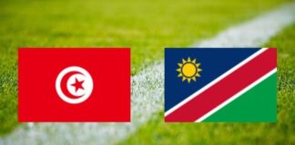كأس إفريقيا للأمم: المنتخب الوطني ينهزم أمام نظيره الناميبي