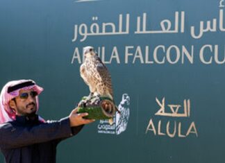 النسخة الافتتاحية لكأس العلا للصقور تحتفل بتسعة أيام من الرياضات التراثية المذهلة والجوائز القياسية
