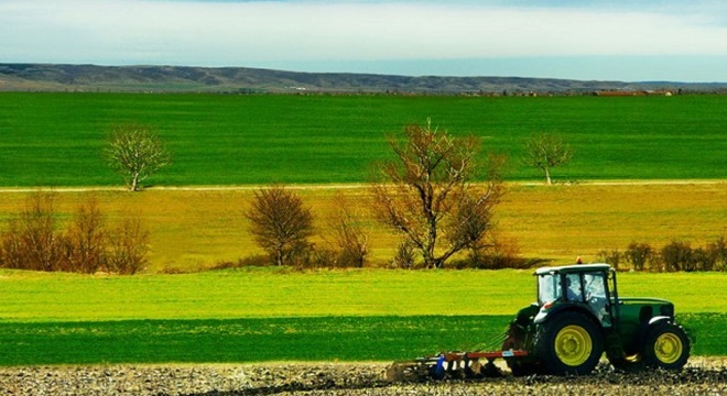 الكاف بذر أكثر من 82 بالمائة من مساحات الزراعات الكبرى المبرمجة لهذا الموسم agriculture