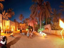 قبلي: انتعاشة سياحية مع نهاية السنة الإدارية ومهرجان الصحراء بدوز