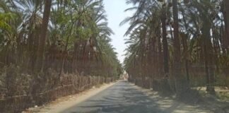 قبلي: تقدم نسبة انجاز عديد المشاريع لدعم المسالك الريفية بالجهة