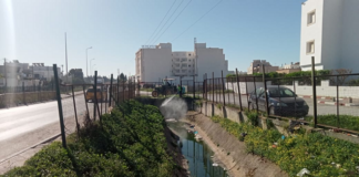 بلدية منوبة تباشر حملة مداواة لمقاومة الحشرات