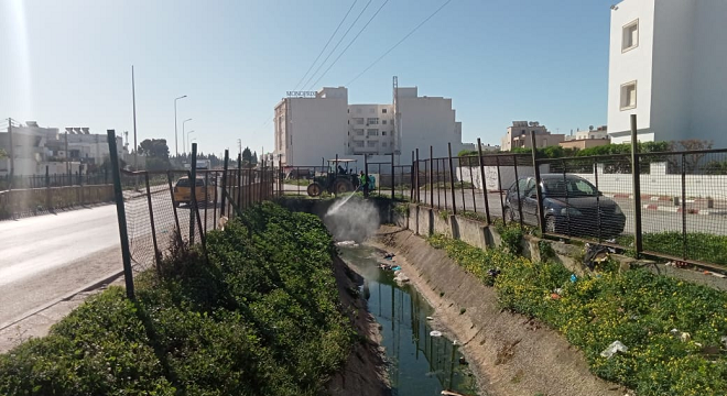 بلدية منوبة تباشر حملة مداواة لمقاومة الحشرات