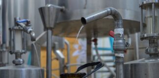 زهرة النارنج في نابل : بعدٌ اقتصادي، تجربة سياحية