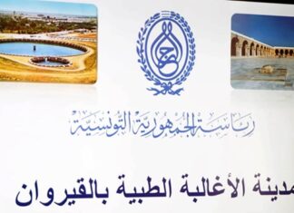 مجلس وزاري يقر إحداث شركة مدينة الأغالبة الطبية بالقيروان