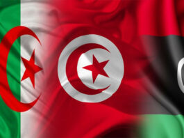 وزير التجارة الجزائري يدعو إلى عقد منتدى لرجال الأعمال من الجزائر وتونس وليبيا