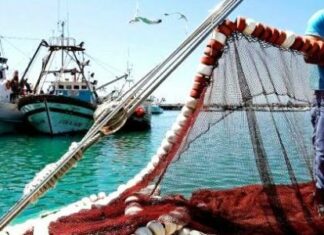 إقرار جملة من الإجراءات لفائدة قطاع الصّيد البحري وتربية الأسماك