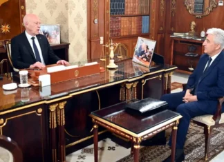 (فيديو) رئيس الجمهورية يؤكد على مواصلة العمل لتطوير القدرات العسكرية للجيش