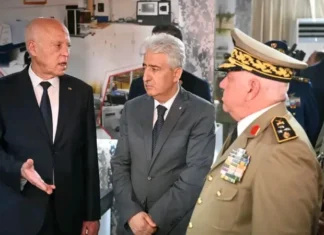 رئيس الدولة: “الذين يدخلون تونس بطرق غير شرعية يُعاملون أفضل بعشرات مرات من دول أخرى”