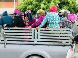 على إثر وفاة طفلة قاصر في انقلاب شاحنة تقّل عاملات بالقطاع الفلاحي