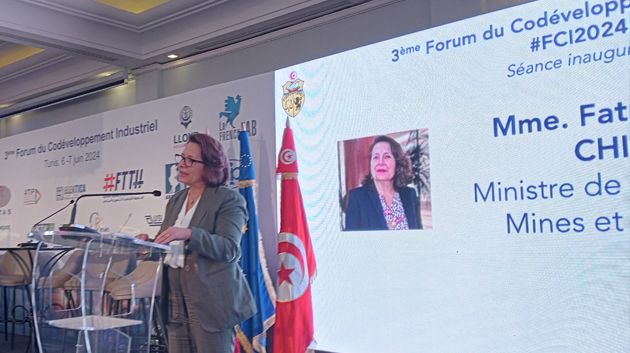 وزيرة-الصناعة--المؤسسات-الفرنسية-في-تونس-تشغل-أكثر-من-100-ألف-عامل