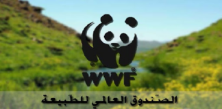 الصندوق العالمي للطبيعة في شمال إفريقيا يتعهد بترميم ‘مخثات دار فاطمة’