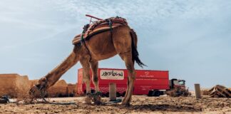 سينما تدور تجوب البلاد