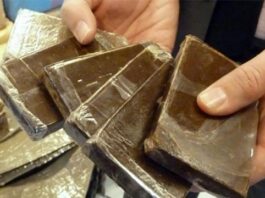 سهلول: تفكيك شبكة لترويج المخدّرات وحجز أكثر من 20 كلغ ‘زطلة’