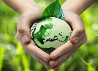 وزارة البيئة: مسابقة وطنية لتشجيع المبادرات الشبابية بـ 7 ولايات