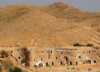 م ع ديوان رجيم معتوق: الجنوب التونسي سيتحول إلى قطب للأمن الغذائي