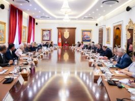 مجلس وزاري مضيّق يبحث تطوير قطاع الصناعات البحرية