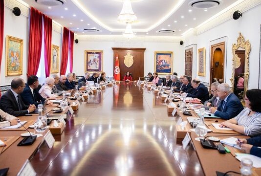 مجلس وزاري مضيّق يبحث تطوير قطاع الصناعات البحرية