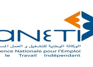 دحمان: انتداب 2400 تونسي بأوروبا… وانفتاح على طلبات الشغل بدول إفريقية