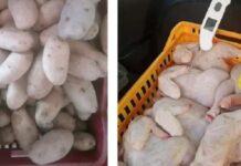 حجز أكثر من 14 طنا من المواد الفاسدة