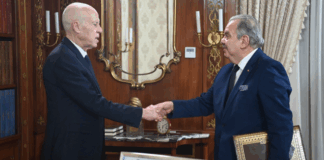 خلال لقائه بوزير الشباب… رئيس الجمهورية يبحث مشروع إعادة بناء ملعب المنزه