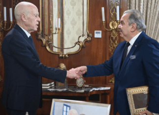 خلال لقائه بوزير الشباب… رئيس الجمهورية يبحث مشروع إعادة بناء ملعب المنزه