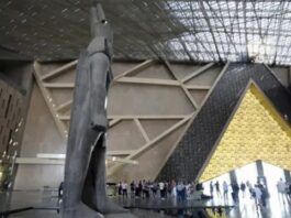 وزير الشؤون الخارجية يشارك اليوم في حفل افتتاح المتحف المصري الكبير بالقاهرة