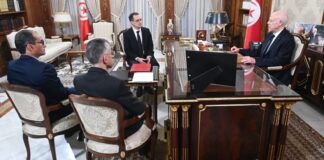 لدى استقباله وزير الفلاحة، قيس سعيد يؤكد أن الفلاحة جزء من الأمن القومي