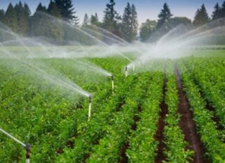 المهدية: إحداث 4 مناطق سقوية جديدة موزعة على معتمديات الشابة وملولش ورجيش.