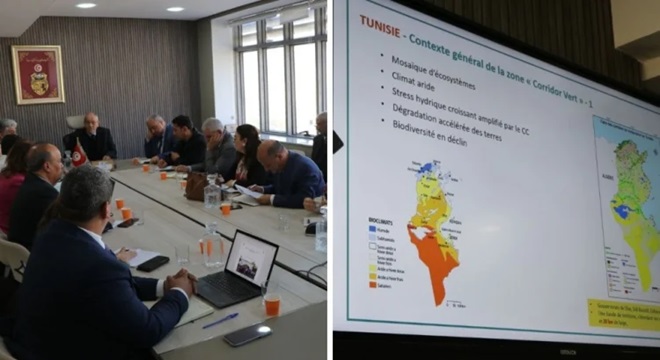 .. وزارة البيئة تبحث تنفيذ برنامج الحزام الأخضر