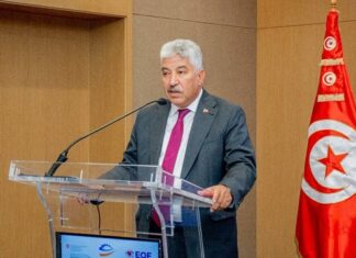 وزير التشغيل: مشروع منظومة الفرصة الجديدة يستهدف المنقطعين عن الدراسة من الفئة العمرية بين 18 و30 سنة