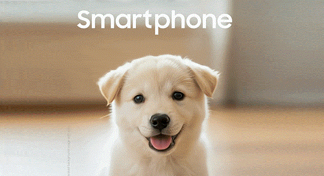 ezgif-21fbcb675bc2155d (1)