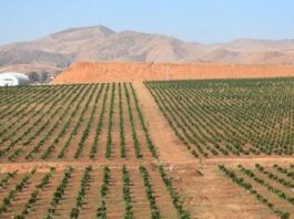 قائمة العقارات الدولية الفلاحية المعروضة للكراء للشركات الأهلية