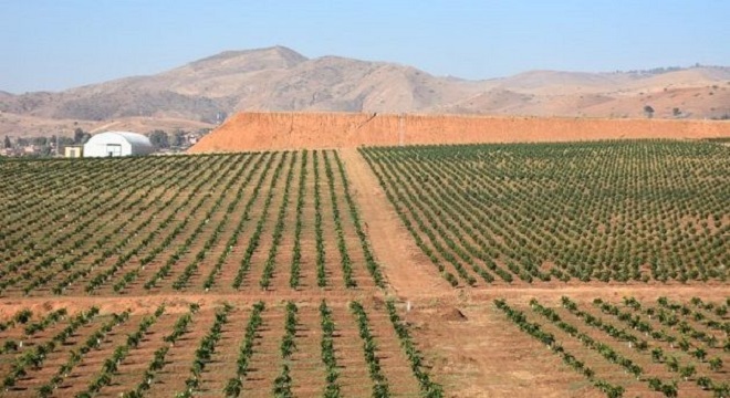 قائمة العقارات الدولية الفلاحية المعروضة للكراء للشركات الأهلية