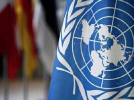 رنا طه: تونس تُعد إطار تعاون جديد مع منظمة الأمم المتحدة