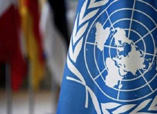 رنا طه: تونس تُعد إطار تعاون جديد مع منظمة الأمم المتحدة