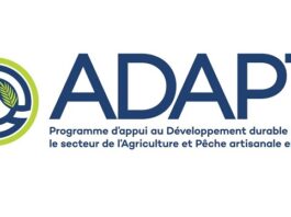 برنامج ADAPT يطلق سلسلة من الأيام الإعلامية لعرض آلية الدعم المالي لصندوق ADAPT وإرشاد حاملي المشاريع حول كيفية تقديم ملفات التّرشّح