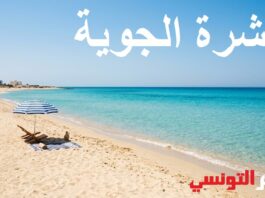 النشرة الجوية: عطلة نهاية الأسبوع المطولة من 13 إلى 16 أوت (عيد المرأة ومنتصف أوت)