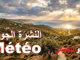 النشرة الجوية المفصلة ليوم الأحد 20 سبتمبر 2026 وتوقعات الأسبوع القادم